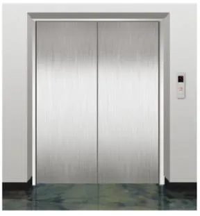 Goods lift cabin design reference from a supplier catalogue