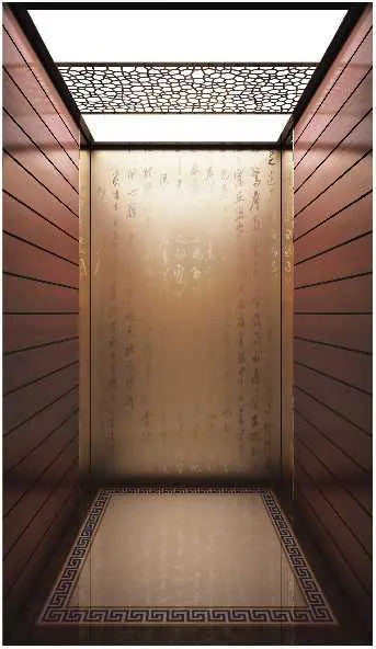 Home & villa lift cabin design reference from a supplier catalogue