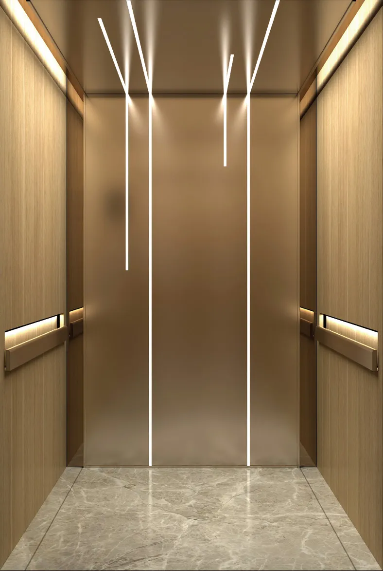 Passenger lift cabin design reference from a supplier catalogue